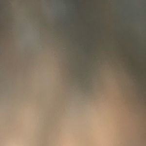 Meet your Posher, Ronnie